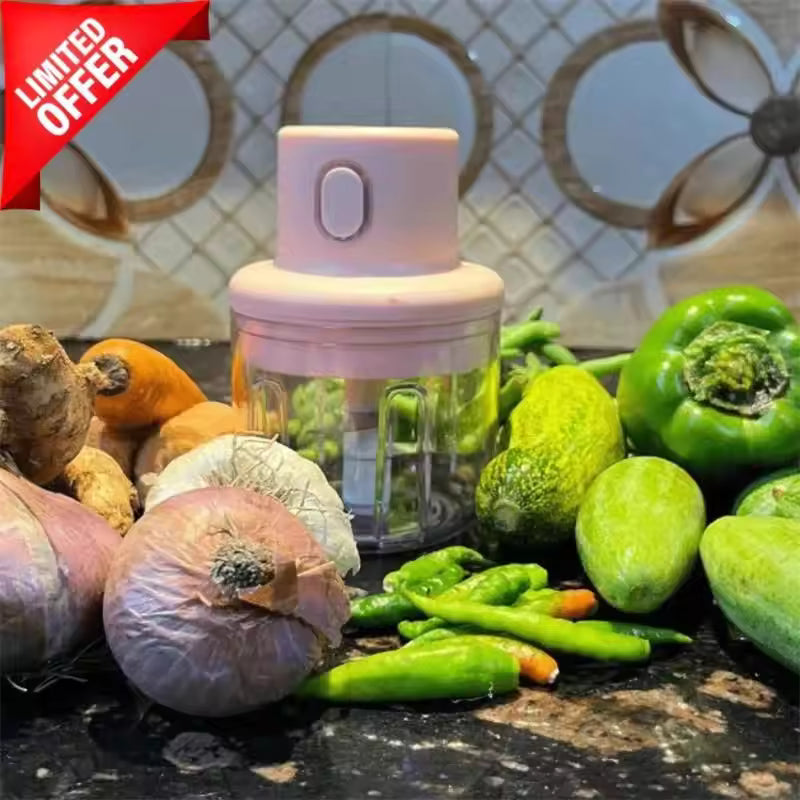 KolorFish Electric Mini Garlic Chopper 250ml Electric Vegetable Chopper
