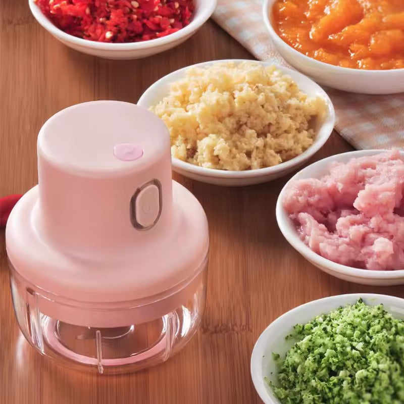 KolorFish Electric Mini Garlic Chopper 250ml Electric Vegetable Chopper